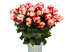 Свитнесс