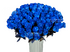 Розы синие (голубые)